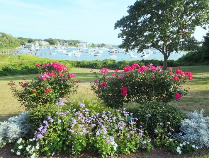 Harwich Vacation Rentals on Cape Cod