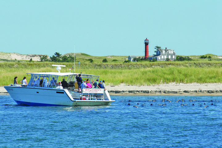 Monomoy Island Excursions