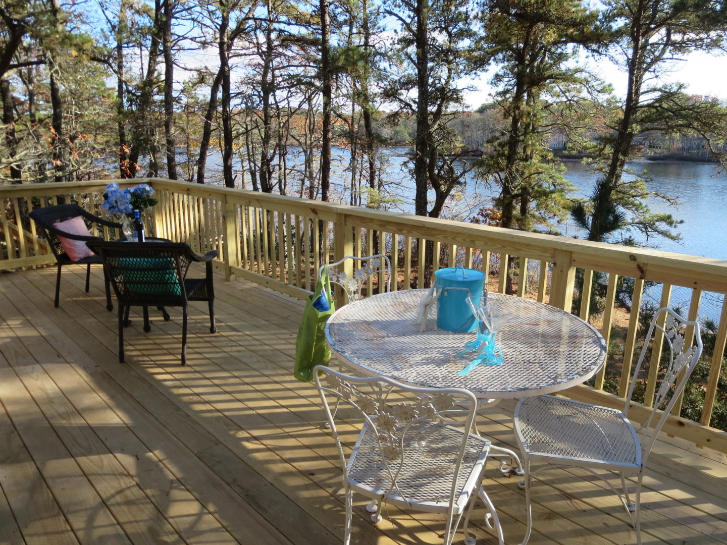 Pet Friendly Vacation Rentals On Cape Cod at Eric Garcia blog